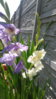 20150803_142714.jpg