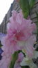 20150804_165537.jpg