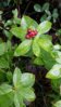 20150730_191701.jpg