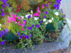 DSCN5066.JPG