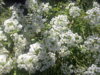 20150815_111124.jpg