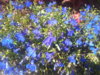 20150815_111004.jpg