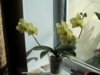 DSC00737.JPG