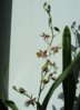 DSC00741.JPG