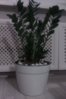 IMAG0939.jpg