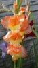20150812_152313.jpg