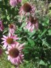 20150821_124823.jpg