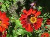 20150821_124859.jpg