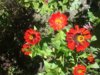 20150821_124853.jpg