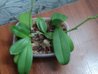 DSC00824.JPG