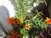 20150703_162529.jpg