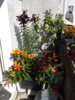 20150703_162544.jpg