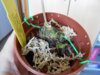 DSCN4540.JPG