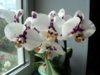 DSC00790.JPG