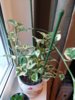 20150902_190627.jpg