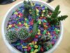 20150903_184358.jpg