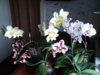 DSC00858.JPG