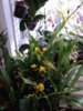 DSC00866.JPG