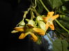 DSCN0705.JPG