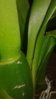 20150918_210643.jpg