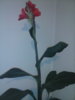 CAM01551.jpg