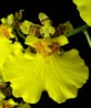 DSC01003.JPG