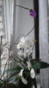 20150922_162139.jpg