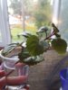 20150922_170433.jpg