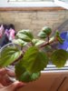 20150922_170439.jpg