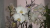 20150925_145915.jpg