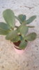 20150926_092537.jpg