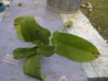 P1010001.JPG