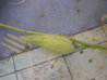 P1010002.JPG