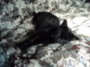 DSC01105.JPG