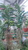 20151002_120856.jpg