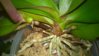 WP_20151003_20_20_51_Pro.jpg