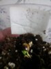 20151005_190734.jpg