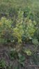 IMG-20151006-WA0005.jpg