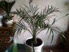 20151006_184358.jpg