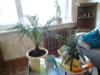 20151006_184136.jpg