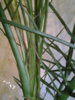 20151006_183302.jpg