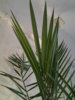 20151006_183342.jpg