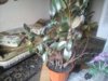 20151011_115338.jpg
