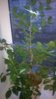 WP_20151006_001.jpg