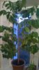 WP_20151013_003.jpg