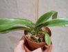 DSCN4783.JPG