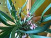 DSCN4791.JPG