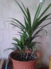 20130529_104542.jpg