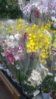 20151017_125300.jpg