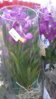 20151017_130229.jpg